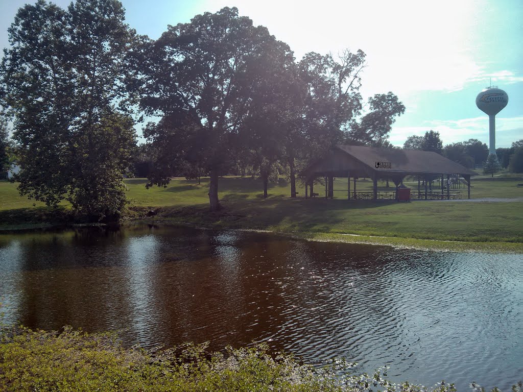 Fayette City Park